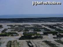 [P33] Cancale - ferma cu fructe de mare » foto by makuy*
 - 
<span class="allrVoted glyphicon glyphicon-heart hidden" id="av429550"></span>
<a class="m-l-10 hidden" id="sv429550" onclick="voting_Foto_DelVot(,429550,2372)" role="button">șterge vot <span class="glyphicon glyphicon-remove"></span></a>
<a id="v9429550" class=" c-red"  onclick="voting_Foto_SetVot(429550)" role="button"><span class="glyphicon glyphicon-heart-empty"></span> <b>LIKE</b> = Votează poza</a> <img class="hidden"  id="f429550W9" src="/imagini/loader.gif" border="0" /><span class="AjErrMes hidden" id="e429550ErM"></span>