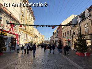 [P27] La plimbare prin Brașov. » foto by Floria
 - 
<span class="allrVoted glyphicon glyphicon-heart hidden" id="av1516934"></span>
<a class="m-l-10 hidden" id="sv1516934" onclick="voting_Foto_DelVot(,1516934,2429)" role="button">șterge vot <span class="glyphicon glyphicon-remove"></span></a>
<a id="v91516934" class=" c-red"  onclick="voting_Foto_SetVot(1516934)" role="button"><span class="glyphicon glyphicon-heart-empty"></span> <b>LIKE</b> = Votează poza</a> <img class="hidden"  id="f1516934W9" src="/imagini/loader.gif" border="0" /><span class="AjErrMes hidden" id="e1516934ErM"></span>