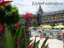 [P03]  -- <small>// FĂRĂ DESCRIERE</small> » foto by iko770901
 - 
<span class="allrVoted glyphicon glyphicon-heart hidden" id="av101684"></span>
<a class="m-l-10 hidden" id="sv101684" onclick="voting_Foto_DelVot(,101684,2502)" role="button">șterge vot <span class="glyphicon glyphicon-remove"></span></a>
<a id="v9101684" class=" c-red"  onclick="voting_Foto_SetVot(101684)" role="button"><span class="glyphicon glyphicon-heart-empty"></span> <b>LIKE</b> = Votează poza</a> <img class="hidden"  id="f101684W9" src="/imagini/loader.gif" border="0" /><span class="AjErrMes hidden" id="e101684ErM"></span>