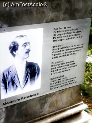 [P01]  -- <small>// FĂRĂ DESCRIERE</small> » foto by Cristian_h
 - 
<span class="allrVoted glyphicon glyphicon-heart hidden" id="av1524753"></span>
<a class="m-l-10 hidden" id="sv1524753" onclick="voting_Foto_DelVot(,1524753,2510)" role="button">șterge vot <span class="glyphicon glyphicon-remove"></span></a>
<a id="v91524753" class=" c-red"  onclick="voting_Foto_SetVot(1524753)" role="button"><span class="glyphicon glyphicon-heart-empty"></span> <b>LIKE</b> = Votează poza</a> <img class="hidden"  id="f1524753W9" src="/imagini/loader.gif" border="0" /><span class="AjErrMes hidden" id="e1524753ErM"></span>