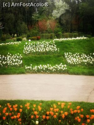 [P12]  -- <small>// FĂRĂ DESCRIERE</small> » foto by Cristian_h
 - 
<span class="allrVoted glyphicon glyphicon-heart hidden" id="av1524764"></span>
<a class="m-l-10 hidden" id="sv1524764" onclick="voting_Foto_DelVot(,1524764,2510)" role="button">șterge vot <span class="glyphicon glyphicon-remove"></span></a>
<a id="v91524764" class=" c-red"  onclick="voting_Foto_SetVot(1524764)" role="button"><span class="glyphicon glyphicon-heart-empty"></span> <b>LIKE</b> = Votează poza</a> <img class="hidden"  id="f1524764W9" src="/imagini/loader.gif" border="0" /><span class="AjErrMes hidden" id="e1524764ErM"></span>