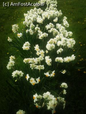 [P17]  -- <small>// FĂRĂ DESCRIERE</small> » foto by Cristian_h
 - 
<span class="allrVoted glyphicon glyphicon-heart hidden" id="av1524769"></span>
<a class="m-l-10 hidden" id="sv1524769" onclick="voting_Foto_DelVot(,1524769,2510)" role="button">șterge vot <span class="glyphicon glyphicon-remove"></span></a>
<a id="v91524769" class=" c-red"  onclick="voting_Foto_SetVot(1524769)" role="button"><span class="glyphicon glyphicon-heart-empty"></span> <b>LIKE</b> = Votează poza</a> <img class="hidden"  id="f1524769W9" src="/imagini/loader.gif" border="0" /><span class="AjErrMes hidden" id="e1524769ErM"></span>