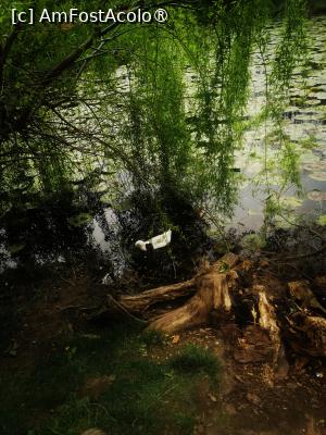 [P19]  -- <small>// FĂRĂ DESCRIERE</small> » foto by Cristian_h
 - 
<span class="allrVoted glyphicon glyphicon-heart hidden" id="av1524771"></span>
<a class="m-l-10 hidden" id="sv1524771" onclick="voting_Foto_DelVot(,1524771,2510)" role="button">șterge vot <span class="glyphicon glyphicon-remove"></span></a>
<a id="v91524771" class=" c-red"  onclick="voting_Foto_SetVot(1524771)" role="button"><span class="glyphicon glyphicon-heart-empty"></span> <b>LIKE</b> = Votează poza</a> <img class="hidden"  id="f1524771W9" src="/imagini/loader.gif" border="0" /><span class="AjErrMes hidden" id="e1524771ErM"></span>