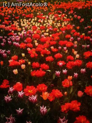 [P27]  -- <small>// FĂRĂ DESCRIERE</small> » foto by Cristian_h
 - 
<span class="allrVoted glyphicon glyphicon-heart hidden" id="av1524779"></span>
<a class="m-l-10 hidden" id="sv1524779" onclick="voting_Foto_DelVot(,1524779,2510)" role="button">șterge vot <span class="glyphicon glyphicon-remove"></span></a>
<a id="v91524779" class=" c-red"  onclick="voting_Foto_SetVot(1524779)" role="button"><span class="glyphicon glyphicon-heart-empty"></span> <b>LIKE</b> = Votează poza</a> <img class="hidden"  id="f1524779W9" src="/imagini/loader.gif" border="0" /><span class="AjErrMes hidden" id="e1524779ErM"></span>