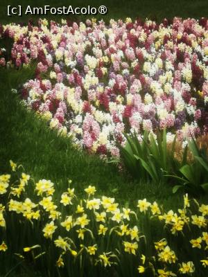 [P05]  -- <small>// FĂRĂ DESCRIERE</small> » foto by Cristian_h
 - 
<span class="allrVoted glyphicon glyphicon-heart hidden" id="av1524757"></span>
<a class="m-l-10 hidden" id="sv1524757" onclick="voting_Foto_DelVot(,1524757,2510)" role="button">șterge vot <span class="glyphicon glyphicon-remove"></span></a>
<a id="v91524757" class=" c-red"  onclick="voting_Foto_SetVot(1524757)" role="button"><span class="glyphicon glyphicon-heart-empty"></span> <b>LIKE</b> = Votează poza</a> <img class="hidden"  id="f1524757W9" src="/imagini/loader.gif" border="0" /><span class="AjErrMes hidden" id="e1524757ErM"></span>