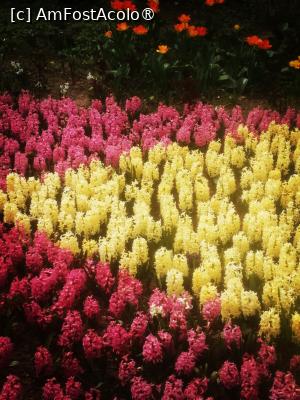 [P08]  -- <small>// FĂRĂ DESCRIERE</small> » foto by Cristian_h
 - 
<span class="allrVoted glyphicon glyphicon-heart hidden" id="av1524760"></span>
<a class="m-l-10 hidden" id="sv1524760" onclick="voting_Foto_DelVot(,1524760,2510)" role="button">șterge vot <span class="glyphicon glyphicon-remove"></span></a>
<a id="v91524760" class=" c-red"  onclick="voting_Foto_SetVot(1524760)" role="button"><span class="glyphicon glyphicon-heart-empty"></span> <b>LIKE</b> = Votează poza</a> <img class="hidden"  id="f1524760W9" src="/imagini/loader.gif" border="0" /><span class="AjErrMes hidden" id="e1524760ErM"></span>