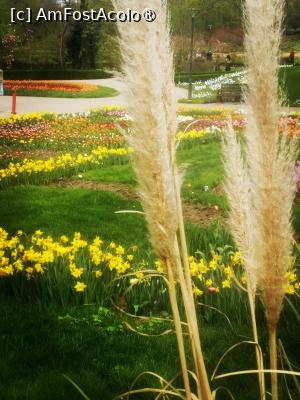 [P09]  -- <small>// FĂRĂ DESCRIERE</small> » foto by Cristian_h
 - 
<span class="allrVoted glyphicon glyphicon-heart hidden" id="av1524761"></span>
<a class="m-l-10 hidden" id="sv1524761" onclick="voting_Foto_DelVot(,1524761,2510)" role="button">șterge vot <span class="glyphicon glyphicon-remove"></span></a>
<a id="v91524761" class=" c-red"  onclick="voting_Foto_SetVot(1524761)" role="button"><span class="glyphicon glyphicon-heart-empty"></span> <b>LIKE</b> = Votează poza</a> <img class="hidden"  id="f1524761W9" src="/imagini/loader.gif" border="0" /><span class="AjErrMes hidden" id="e1524761ErM"></span>