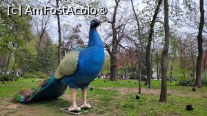 [P31] Târgul de Paște din Craiova 2025 » foto by vlado2
 - 
<span class="allrVoted glyphicon glyphicon-heart hidden" id="av1519704"></span>
<a class="m-l-10 hidden" id="sv1519704" onclick="voting_Foto_DelVot(,1519704,2510)" role="button">șterge vot <span class="glyphicon glyphicon-remove"></span></a>
<a id="v91519704" class=" c-red"  onclick="voting_Foto_SetVot(1519704)" role="button"><span class="glyphicon glyphicon-heart-empty"></span> <b>LIKE</b> = Votează poza</a> <img class="hidden"  id="f1519704W9" src="/imagini/loader.gif" border="0" /><span class="AjErrMes hidden" id="e1519704ErM"></span>