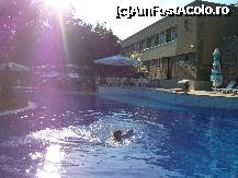 [P02] dupa mare...o piscina buna » foto by Alin18
 - 
<span class="allrVoted glyphicon glyphicon-heart hidden" id="av310491"></span>
<a class="m-l-10 hidden" id="sv310491" onclick="voting_Foto_DelVot(,310491,2512)" role="button">șterge vot <span class="glyphicon glyphicon-remove"></span></a>
<a id="v9310491" class=" c-red"  onclick="voting_Foto_SetVot(310491)" role="button"><span class="glyphicon glyphicon-heart-empty"></span> <b>LIKE</b> = Votează poza</a> <img class="hidden"  id="f310491W9" src="/imagini/loader.gif" border="0" /><span class="AjErrMes hidden" id="e310491ErM"></span>