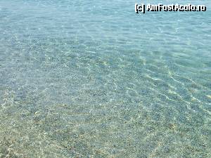 [P39] Fara comentarii. Deosebit.  » foto by Basy
 - 
<span class="allrVoted glyphicon glyphicon-heart hidden" id="av342944"></span>
<a class="m-l-10 hidden" id="sv342944" onclick="voting_Foto_DelVot(,342944,2585)" role="button">șterge vot <span class="glyphicon glyphicon-remove"></span></a>
<a id="v9342944" class=" c-red"  onclick="voting_Foto_SetVot(342944)" role="button"><span class="glyphicon glyphicon-heart-empty"></span> <b>LIKE</b> = Votează poza</a> <img class="hidden"  id="f342944W9" src="/imagini/loader.gif" border="0" /><span class="AjErrMes hidden" id="e342944ErM"></span>
