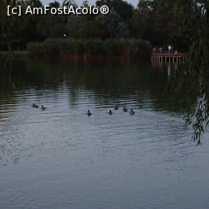 [P04] Lacul din fata hotelului » foto by crisb
 - 
<span class="allrVoted glyphicon glyphicon-heart hidden" id="av776960"></span>
<a class="m-l-10 hidden" id="sv776960" onclick="voting_Foto_DelVot(,776960,2597)" role="button">șterge vot <span class="glyphicon glyphicon-remove"></span></a>
<a id="v9776960" class=" c-red"  onclick="voting_Foto_SetVot(776960)" role="button"><span class="glyphicon glyphicon-heart-empty"></span> <b>LIKE</b> = Votează poza</a> <img class="hidden"  id="f776960W9" src="/imagini/loader.gif" border="0" /><span class="AjErrMes hidden" id="e776960ErM"></span>