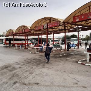 [P08] Tunis, Gara de Autobuze numită și Stația Bab Alioua, peroanele pentru autobuze » foto by mprofeanu
 - 
<span class="allrVoted glyphicon glyphicon-heart hidden" id="av1430555"></span>
<a class="m-l-10 hidden" id="sv1430555" onclick="voting_Foto_DelVot(,1430555,2617)" role="button">șterge vot <span class="glyphicon glyphicon-remove"></span></a>
<a id="v91430555" class=" c-red"  onclick="voting_Foto_SetVot(1430555)" role="button"><span class="glyphicon glyphicon-heart-empty"></span> <b>LIKE</b> = Votează poza</a> <img class="hidden"  id="f1430555W9" src="/imagini/loader.gif" border="0" /><span class="AjErrMes hidden" id="e1430555ErM"></span>