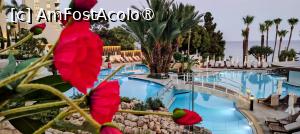 [P12] Zona piscinelor dintre restaurant » foto by Coniss
 - 
<span class="allrVoted glyphicon glyphicon-heart hidden" id="av1495007"></span>
<a class="m-l-10 hidden" id="sv1495007" onclick="voting_Foto_DelVot(,1495007,2680)" role="button">șterge vot <span class="glyphicon glyphicon-remove"></span></a>
<a id="v91495007" class=" c-red"  onclick="voting_Foto_SetVot(1495007)" role="button"><span class="glyphicon glyphicon-heart-empty"></span> <b>LIKE</b> = Votează poza</a> <img class="hidden"  id="f1495007W9" src="/imagini/loader.gif" border="0" /><span class="AjErrMes hidden" id="e1495007ErM"></span>