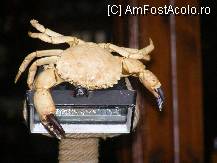 [P10] La un restaurant in statiune » foto by Teoo
 - 
<span class="allrVoted glyphicon glyphicon-heart hidden" id="av102977"></span>
<a class="m-l-10 hidden" id="sv102977" onclick="voting_Foto_DelVot(,102977,2682)" role="button">șterge vot <span class="glyphicon glyphicon-remove"></span></a>
<a id="v9102977" class=" c-red"  onclick="voting_Foto_SetVot(102977)" role="button"><span class="glyphicon glyphicon-heart-empty"></span> <b>LIKE</b> = Votează poza</a> <img class="hidden"  id="f102977W9" src="/imagini/loader.gif" border="0" /><span class="AjErrMes hidden" id="e102977ErM"></span>