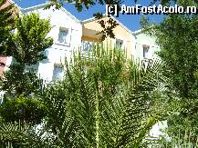 [P02] asa erau camerele, fereastra unde era canapeaua + balcon » foto by maria10
 - 
<span class="allrVoted glyphicon glyphicon-heart hidden" id="av9844"></span>
<a class="m-l-10 hidden" id="sv9844" onclick="voting_Foto_DelVot(,9844,2733)" role="button">șterge vot <span class="glyphicon glyphicon-remove"></span></a>
<a id="v99844" class=" c-red"  onclick="voting_Foto_SetVot(9844)" role="button"><span class="glyphicon glyphicon-heart-empty"></span> <b>LIKE</b> = Votează poza</a> <img class="hidden"  id="f9844W9" src="/imagini/loader.gif" border="0" /><span class="AjErrMes hidden" id="e9844ErM"></span>