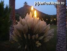 [P02] La plimbare prin resort... » foto by beko
 - 
<span class="allrVoted glyphicon glyphicon-heart hidden" id="av143019"></span>
<a class="m-l-10 hidden" id="sv143019" onclick="voting_Foto_DelVot(,143019,2733)" role="button">șterge vot <span class="glyphicon glyphicon-remove"></span></a>
<a id="v9143019" class=" c-red"  onclick="voting_Foto_SetVot(143019)" role="button"><span class="glyphicon glyphicon-heart-empty"></span> <b>LIKE</b> = Votează poza</a> <img class="hidden"  id="f143019W9" src="/imagini/loader.gif" border="0" /><span class="AjErrMes hidden" id="e143019ErM"></span>