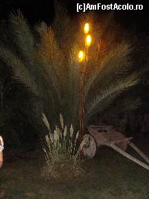 [P05] o alta imagine de pe aleile hotelului » foto by beko
 - 
<span class="allrVoted glyphicon glyphicon-heart hidden" id="av143022"></span>
<a class="m-l-10 hidden" id="sv143022" onclick="voting_Foto_DelVot(,143022,2733)" role="button">șterge vot <span class="glyphicon glyphicon-remove"></span></a>
<a id="v9143022" class=" c-red"  onclick="voting_Foto_SetVot(143022)" role="button"><span class="glyphicon glyphicon-heart-empty"></span> <b>LIKE</b> = Votează poza</a> <img class="hidden"  id="f143022W9" src="/imagini/loader.gif" border="0" /><span class="AjErrMes hidden" id="e143022ErM"></span>