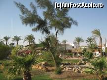 [P11] Imagini din Sharm el Sheikh » foto by cami1212
 - 
<span class="allrVoted glyphicon glyphicon-heart hidden" id="av187208"></span>
<a class="m-l-10 hidden" id="sv187208" onclick="voting_Foto_DelVot(,187208,2768)" role="button">șterge vot <span class="glyphicon glyphicon-remove"></span></a>
<a id="v9187208" class=" c-red"  onclick="voting_Foto_SetVot(187208)" role="button"><span class="glyphicon glyphicon-heart-empty"></span> <b>LIKE</b> = Votează poza</a> <img class="hidden"  id="f187208W9" src="/imagini/loader.gif" border="0" /><span class="AjErrMes hidden" id="e187208ErM"></span>