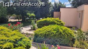 [P10] Grădina de la Club Dunărea, Eforie Nord » foto by vlado2
 - 
<span class="allrVoted glyphicon glyphicon-heart hidden" id="av1520713"></span>
<a class="m-l-10 hidden" id="sv1520713" onclick="voting_Foto_DelVot(,1520713,2785)" role="button">șterge vot <span class="glyphicon glyphicon-remove"></span></a>
<a id="v91520713" class=" c-red"  onclick="voting_Foto_SetVot(1520713)" role="button"><span class="glyphicon glyphicon-heart-empty"></span> <b>LIKE</b> = Votează poza</a> <img class="hidden"  id="f1520713W9" src="/imagini/loader.gif" border="0" /><span class="AjErrMes hidden" id="e1520713ErM"></span>