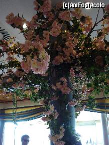 [P12] Austria - restaurant LandZeit, aranjament floral in restaurant » foto by Diaura*
 - 
<span class="allrVoted glyphicon glyphicon-heart hidden" id="av212811"></span>
<a class="m-l-10 hidden" id="sv212811" onclick="voting_Foto_DelVot(,212811,2854)" role="button">șterge vot <span class="glyphicon glyphicon-remove"></span></a>
<a id="v9212811" class=" c-red"  onclick="voting_Foto_SetVot(212811)" role="button"><span class="glyphicon glyphicon-heart-empty"></span> <b>LIKE</b> = Votează poza</a> <img class="hidden"  id="f212811W9" src="/imagini/loader.gif" border="0" /><span class="AjErrMes hidden" id="e212811ErM"></span>