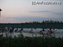 [P16] Amfiteatrul incepe sa prinda viata... » foto by Bmona
 - 
<span class="allrVoted glyphicon glyphicon-heart hidden" id="av241204"></span>
<a class="m-l-10 hidden" id="sv241204" onclick="voting_Foto_DelVot(,241204,2905)" role="button">șterge vot <span class="glyphicon glyphicon-remove"></span></a>
<a id="v9241204" class=" c-red"  onclick="voting_Foto_SetVot(241204)" role="button"><span class="glyphicon glyphicon-heart-empty"></span> <b>LIKE</b> = Votează poza</a> <img class="hidden"  id="f241204W9" src="/imagini/loader.gif" border="0" /><span class="AjErrMes hidden" id="e241204ErM"></span>