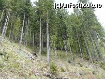 [P30]  -- <small>// FĂRĂ DESCRIERE</small> » foto by adryana
 - 
<span class="allrVoted glyphicon glyphicon-heart hidden" id="av332210"></span>
<a class="m-l-10 hidden" id="sv332210" onclick="voting_Foto_DelVot(,332210,2924)" role="button">șterge vot <span class="glyphicon glyphicon-remove"></span></a>
<a id="v9332210" class=" c-red"  onclick="voting_Foto_SetVot(332210)" role="button"><span class="glyphicon glyphicon-heart-empty"></span> <b>LIKE</b> = Votează poza</a> <img class="hidden"  id="f332210W9" src="/imagini/loader.gif" border="0" /><span class="AjErrMes hidden" id="e332210ErM"></span>