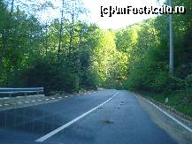 [P04] spre barajul Rausor. » foto by adryana
 - 
<span class="allrVoted glyphicon glyphicon-heart hidden" id="av332159"></span>
<a class="m-l-10 hidden" id="sv332159" onclick="voting_Foto_DelVot(,332159,2924)" role="button">șterge vot <span class="glyphicon glyphicon-remove"></span></a>
<a id="v9332159" class=" c-red"  onclick="voting_Foto_SetVot(332159)" role="button"><span class="glyphicon glyphicon-heart-empty"></span> <b>LIKE</b> = Votează poza</a> <img class="hidden"  id="f332159W9" src="/imagini/loader.gif" border="0" /><span class="AjErrMes hidden" id="e332159ErM"></span>