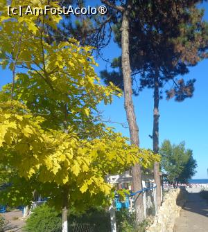 [P16] Drumul spre plajă în dreptul restaurantului cu specific grecesc » foto by mnn
 - 
<span class="allrVoted glyphicon glyphicon-heart hidden" id="av1497370"></span>
<a class="m-l-10 hidden" id="sv1497370" onclick="voting_Foto_DelVot(,1497370,2925)" role="button">șterge vot <span class="glyphicon glyphicon-remove"></span></a>
<a id="v91497370" class=" c-red"  onclick="voting_Foto_SetVot(1497370)" role="button"><span class="glyphicon glyphicon-heart-empty"></span> <b>LIKE</b> = Votează poza</a> <img class="hidden"  id="f1497370W9" src="/imagini/loader.gif" border="0" /><span class="AjErrMes hidden" id="e1497370ErM"></span>