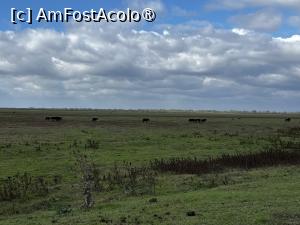 [P32] Ultima poză inainte sa mi se inchida telefonul » foto by raluca banu
 - 
<span class="allrVoted glyphicon glyphicon-heart hidden" id="av1517494"></span>
<a class="m-l-10 hidden" id="sv1517494" onclick="voting_Foto_DelVot(,1517494,2956)" role="button">șterge vot <span class="glyphicon glyphicon-remove"></span></a>
<a id="v91517494" class=" c-red"  onclick="voting_Foto_SetVot(1517494)" role="button"><span class="glyphicon glyphicon-heart-empty"></span> <b>LIKE</b> = Votează poza</a> <img class="hidden"  id="f1517494W9" src="/imagini/loader.gif" border="0" /><span class="AjErrMes hidden" id="e1517494ErM"></span>