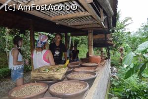 [P18] explicații despre procesul de fabricație al kopi luwak » foto by robert
 - 
<span class="allrVoted glyphicon glyphicon-heart hidden" id="av715913"></span>
<a class="m-l-10 hidden" id="sv715913" onclick="voting_Foto_DelVot(,715913,3149)" role="button">șterge vot <span class="glyphicon glyphicon-remove"></span></a>
<a id="v9715913" class=" c-red"  onclick="voting_Foto_SetVot(715913)" role="button"><span class="glyphicon glyphicon-heart-empty"></span> <b>LIKE</b> = Votează poza</a> <img class="hidden"  id="f715913W9" src="/imagini/loader.gif" border="0" /><span class="AjErrMes hidden" id="e715913ErM"></span>