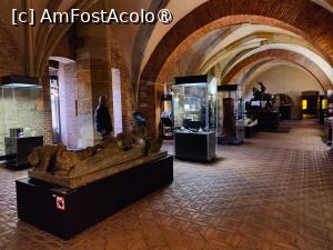 [P53] Expozița „Istoria Castelului Pragăi” » foto by crismis
 - 
<span class="allrVoted glyphicon glyphicon-heart hidden" id="av1448536"></span>
<a class="m-l-10 hidden" id="sv1448536" onclick="voting_Foto_DelVot(,1448536,3167)" role="button">șterge vot <span class="glyphicon glyphicon-remove"></span></a>
<a id="v91448536" class=" c-red"  onclick="voting_Foto_SetVot(1448536)" role="button"><span class="glyphicon glyphicon-heart-empty"></span> <b>LIKE</b> = Votează poza</a> <img class="hidden"  id="f1448536W9" src="/imagini/loader.gif" border="0" /><span class="AjErrMes hidden" id="e1448536ErM"></span>