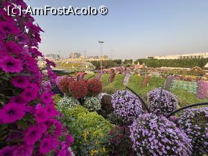 [P21] Miracle Garden » foto by AZE
 - 
<span class="allrVoted glyphicon glyphicon-heart hidden" id="av1475103"></span>
<a class="m-l-10 hidden" id="sv1475103" onclick="voting_Foto_DelVot(,1475103,3199)" role="button">șterge vot <span class="glyphicon glyphicon-remove"></span></a>
<a id="v91475103" class=" c-red"  onclick="voting_Foto_SetVot(1475103)" role="button"><span class="glyphicon glyphicon-heart-empty"></span> <b>LIKE</b> = Votează poza</a> <img class="hidden"  id="f1475103W9" src="/imagini/loader.gif" border="0" /><span class="AjErrMes hidden" id="e1475103ErM"></span>