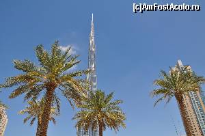 [P04] Burj Khalifa » foto by cos7i
 - 
<span class="allrVoted glyphicon glyphicon-heart hidden" id="av503098"></span>
<a class="m-l-10 hidden" id="sv503098" onclick="voting_Foto_DelVot(,503098,3199)" role="button">șterge vot <span class="glyphicon glyphicon-remove"></span></a>
<a id="v9503098" class=" c-red"  onclick="voting_Foto_SetVot(503098)" role="button"><span class="glyphicon glyphicon-heart-empty"></span> <b>LIKE</b> = Votează poza</a> <img class="hidden"  id="f503098W9" src="/imagini/loader.gif" border="0" /><span class="AjErrMes hidden" id="e503098ErM"></span>