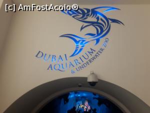 [P03] Dubai Aquarium, intrarea în tunel » foto by Andryea
 - 
<span class="allrVoted glyphicon glyphicon-heart hidden" id="av828005"></span>
<a class="m-l-10 hidden" id="sv828005" onclick="voting_Foto_DelVot(,828005,3199)" role="button">șterge vot <span class="glyphicon glyphicon-remove"></span></a>
<a id="v9828005" class=" c-red"  onclick="voting_Foto_SetVot(828005)" role="button"><span class="glyphicon glyphicon-heart-empty"></span> <b>LIKE</b> = Votează poza</a> <img class="hidden"  id="f828005W9" src="/imagini/loader.gif" border="0" /><span class="AjErrMes hidden" id="e828005ErM"></span>