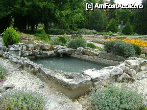 [P17] PISCINA IN GRADINA BOTANICA » foto by ile57b
 - 
<span class="allrVoted glyphicon glyphicon-heart hidden" id="av477405"></span>
<a class="m-l-10 hidden" id="sv477405" onclick="voting_Foto_DelVot(,477405,3210)" role="button">șterge vot <span class="glyphicon glyphicon-remove"></span></a>
<a id="v9477405" class=" c-red"  onclick="voting_Foto_SetVot(477405)" role="button"><span class="glyphicon glyphicon-heart-empty"></span> <b>LIKE</b> = Votează poza</a> <img class="hidden"  id="f477405W9" src="/imagini/loader.gif" border="0" /><span class="AjErrMes hidden" id="e477405ErM"></span>