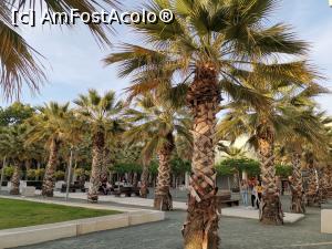 [P43] Promenada din Malaga.  » foto by Aurici
 - 
<span class="allrVoted glyphicon glyphicon-heart hidden" id="av1103790"></span>
<a class="m-l-10 hidden" id="sv1103790" onclick="voting_Foto_DelVot(,1103790,3219)" role="button">șterge vot <span class="glyphicon glyphicon-remove"></span></a>
<a id="v91103790" class=" c-red"  onclick="voting_Foto_SetVot(1103790)" role="button"><span class="glyphicon glyphicon-heart-empty"></span> <b>LIKE</b> = Votează poza</a> <img class="hidden"  id="f1103790W9" src="/imagini/loader.gif" border="0" /><span class="AjErrMes hidden" id="e1103790ErM"></span>