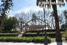 [P35] Parque de Malaga » foto by Costi
 - 
<span class="allrVoted glyphicon glyphicon-heart hidden" id="av223652"></span>
<a class="m-l-10 hidden" id="sv223652" onclick="voting_Foto_DelVot(,223652,3219)" role="button">șterge vot <span class="glyphicon glyphicon-remove"></span></a>
<a id="v9223652" class=" c-red"  onclick="voting_Foto_SetVot(223652)" role="button"><span class="glyphicon glyphicon-heart-empty"></span> <b>LIKE</b> = Votează poza</a> <img class="hidden"  id="f223652W9" src="/imagini/loader.gif" border="0" /><span class="AjErrMes hidden" id="e223652ErM"></span>