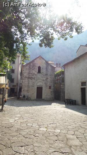 [P11] la pas pe străduțele cetății din Kotor » foto by silvia tudoran
 - 
<span class="allrVoted glyphicon glyphicon-heart hidden" id="av921987"></span>
<a class="m-l-10 hidden" id="sv921987" onclick="voting_Foto_DelVot(,921987,3229)" role="button">șterge vot <span class="glyphicon glyphicon-remove"></span></a>
<a id="v9921987" class=" c-red"  onclick="voting_Foto_SetVot(921987)" role="button"><span class="glyphicon glyphicon-heart-empty"></span> <b>LIKE</b> = Votează poza</a> <img class="hidden"  id="f921987W9" src="/imagini/loader.gif" border="0" /><span class="AjErrMes hidden" id="e921987ErM"></span>