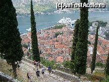 P13 [SEP-2011] Tot orasul vechi Kotor, de pe drumul ce urca spre fortificatiile superioare