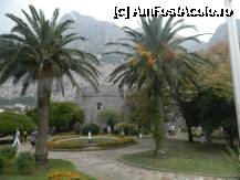 [P08] Parcul din orasul Kotor, vazut de pe strada principala » foto by ileanaxperta*
 - 
<span class="allrVoted glyphicon glyphicon-heart hidden" id="av268235"></span>
<a class="m-l-10 hidden" id="sv268235" onclick="voting_Foto_DelVot(,268235,3229)" role="button">șterge vot <span class="glyphicon glyphicon-remove"></span></a>
<a id="v9268235" class=" c-red"  onclick="voting_Foto_SetVot(268235)" role="button"><span class="glyphicon glyphicon-heart-empty"></span> <b>LIKE</b> = Votează poza</a> <img class="hidden"  id="f268235W9" src="/imagini/loader.gif" border="0" /><span class="AjErrMes hidden" id="e268235ErM"></span>