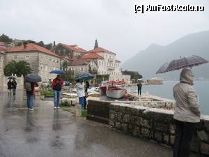 [P02] Pe chei in Perast asteptand vaporasul » foto by Michi
 - 
<span class="allrVoted glyphicon glyphicon-heart hidden" id="av370529"></span>
<a class="m-l-10 hidden" id="sv370529" onclick="voting_Foto_DelVot(,370529,3229)" role="button">șterge vot <span class="glyphicon glyphicon-remove"></span></a>
<a id="v9370529" class=" c-red"  onclick="voting_Foto_SetVot(370529)" role="button"><span class="glyphicon glyphicon-heart-empty"></span> <b>LIKE</b> = Votează poza</a> <img class="hidden"  id="f370529W9" src="/imagini/loader.gif" border="0" /><span class="AjErrMes hidden" id="e370529ErM"></span>