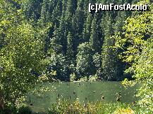 [P21] Lacul Rosu - natura pura » foto by Lumis66
 - 
<span class="allrVoted glyphicon glyphicon-heart hidden" id="av248687"></span>
<a class="m-l-10 hidden" id="sv248687" onclick="voting_Foto_DelVot(,248687,3314)" role="button">șterge vot <span class="glyphicon glyphicon-remove"></span></a>
<a id="v9248687" class=" c-red"  onclick="voting_Foto_SetVot(248687)" role="button"><span class="glyphicon glyphicon-heart-empty"></span> <b>LIKE</b> = Votează poza</a> <img class="hidden"  id="f248687W9" src="/imagini/loader.gif" border="0" /><span class="AjErrMes hidden" id="e248687ErM"></span>