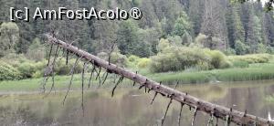 [P16] Lacul Rosu - Plimbare in jurul lacului. » foto by iulianic
 - 
<span class="allrVoted glyphicon glyphicon-heart hidden" id="av1538297"></span>
<a class="m-l-10 hidden" id="sv1538297" onclick="voting_Foto_DelVot(,1538297,3314)" role="button">șterge vot <span class="glyphicon glyphicon-remove"></span></a>
<a id="v91538297" class=" c-red"  onclick="voting_Foto_SetVot(1538297)" role="button"><span class="glyphicon glyphicon-heart-empty"></span> <b>LIKE</b> = Votează poza</a> <img class="hidden"  id="f1538297W9" src="/imagini/loader.gif" border="0" /><span class="AjErrMes hidden" id="e1538297ErM"></span>