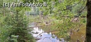 [P17] Lacul Rosu - Plimbare in jurul lacului. » foto by iulianic
 - 
<span class="allrVoted glyphicon glyphicon-heart hidden" id="av1538298"></span>
<a class="m-l-10 hidden" id="sv1538298" onclick="voting_Foto_DelVot(,1538298,3314)" role="button">șterge vot <span class="glyphicon glyphicon-remove"></span></a>
<a id="v91538298" class=" c-red"  onclick="voting_Foto_SetVot(1538298)" role="button"><span class="glyphicon glyphicon-heart-empty"></span> <b>LIKE</b> = Votează poza</a> <img class="hidden"  id="f1538298W9" src="/imagini/loader.gif" border="0" /><span class="AjErrMes hidden" id="e1538298ErM"></span>