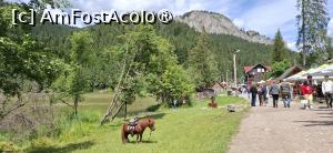 [P19] Lacul Rosu - In statiune, in asteptarea amatorilor de plimbare. » foto by iulianic
 - 
<span class="allrVoted glyphicon glyphicon-heart hidden" id="av1538300"></span>
<a class="m-l-10 hidden" id="sv1538300" onclick="voting_Foto_DelVot(,1538300,3314)" role="button">șterge vot <span class="glyphicon glyphicon-remove"></span></a>
<a id="v91538300" class=" c-red"  onclick="voting_Foto_SetVot(1538300)" role="button"><span class="glyphicon glyphicon-heart-empty"></span> <b>LIKE</b> = Votează poza</a> <img class="hidden"  id="f1538300W9" src="/imagini/loader.gif" border="0" /><span class="AjErrMes hidden" id="e1538300ErM"></span>