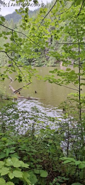 [P24] Lacul Rosu - Plimbare in jurul lacului. » foto by iulianic
 - 
<span class="allrVoted glyphicon glyphicon-heart hidden" id="av1538305"></span>
<a class="m-l-10 hidden" id="sv1538305" onclick="voting_Foto_DelVot(,1538305,3314)" role="button">șterge vot <span class="glyphicon glyphicon-remove"></span></a>
<a id="v91538305" class=" c-red"  onclick="voting_Foto_SetVot(1538305)" role="button"><span class="glyphicon glyphicon-heart-empty"></span> <b>LIKE</b> = Votează poza</a> <img class="hidden"  id="f1538305W9" src="/imagini/loader.gif" border="0" /><span class="AjErrMes hidden" id="e1538305ErM"></span>