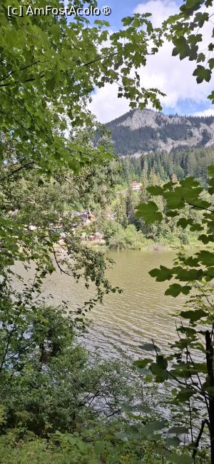 [P25] Lacul Rosu - Plimbare in jurul lacului. » foto by iulianic
 - 
<span class="allrVoted glyphicon glyphicon-heart hidden" id="av1538306"></span>
<a class="m-l-10 hidden" id="sv1538306" onclick="voting_Foto_DelVot(,1538306,3314)" role="button">șterge vot <span class="glyphicon glyphicon-remove"></span></a>
<a id="v91538306" class=" c-red"  onclick="voting_Foto_SetVot(1538306)" role="button"><span class="glyphicon glyphicon-heart-empty"></span> <b>LIKE</b> = Votează poza</a> <img class="hidden"  id="f1538306W9" src="/imagini/loader.gif" border="0" /><span class="AjErrMes hidden" id="e1538306ErM"></span>