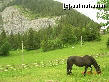 [P13] Superba priveliste la Cheile Bicazului » foto by mcosmin
 - 
<span class="allrVoted glyphicon glyphicon-heart hidden" id="av221442"></span>
<a class="m-l-10 hidden" id="sv221442" onclick="voting_Foto_DelVot(,221442,3314)" role="button">șterge vot <span class="glyphicon glyphicon-remove"></span></a>
<a id="v9221442" class=" c-red"  onclick="voting_Foto_SetVot(221442)" role="button"><span class="glyphicon glyphicon-heart-empty"></span> <b>LIKE</b> = Votează poza</a> <img class="hidden"  id="f221442W9" src="/imagini/loader.gif" border="0" /><span class="AjErrMes hidden" id="e221442ErM"></span>