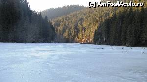 [P01] Într-o zi de februarie, anul 2014. Lacul Roșu transformat în patinoar. Totuși n-aș recomanda nimănui să încerce. :)  » foto by izabiza
 - 
<span class="allrVoted glyphicon glyphicon-heart hidden" id="av653192"></span>
<a class="m-l-10 hidden" id="sv653192" onclick="voting_Foto_DelVot(,653192,3314)" role="button">șterge vot <span class="glyphicon glyphicon-remove"></span></a>
<a id="v9653192" class=" c-red"  onclick="voting_Foto_SetVot(653192)" role="button"><span class="glyphicon glyphicon-heart-empty"></span> <b>LIKE</b> = Votează poza</a> <img class="hidden"  id="f653192W9" src="/imagini/loader.gif" border="0" /><span class="AjErrMes hidden" id="e653192ErM"></span>