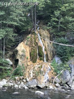 [P04] Cascada Șipote, la picioarele ei » foto by krisstinna
 - 
<span class="allrVoted glyphicon glyphicon-heart hidden" id="av1195537"></span>
<a class="m-l-10 hidden" id="sv1195537" onclick="voting_Foto_DelVot(,1195537,3336)" role="button">șterge vot <span class="glyphicon glyphicon-remove"></span></a>
<a id="v91195537" class=" c-red"  onclick="voting_Foto_SetVot(1195537)" role="button"><span class="glyphicon glyphicon-heart-empty"></span> <b>LIKE</b> = Votează poza</a> <img class="hidden"  id="f1195537W9" src="/imagini/loader.gif" border="0" /><span class="AjErrMes hidden" id="e1195537ErM"></span>